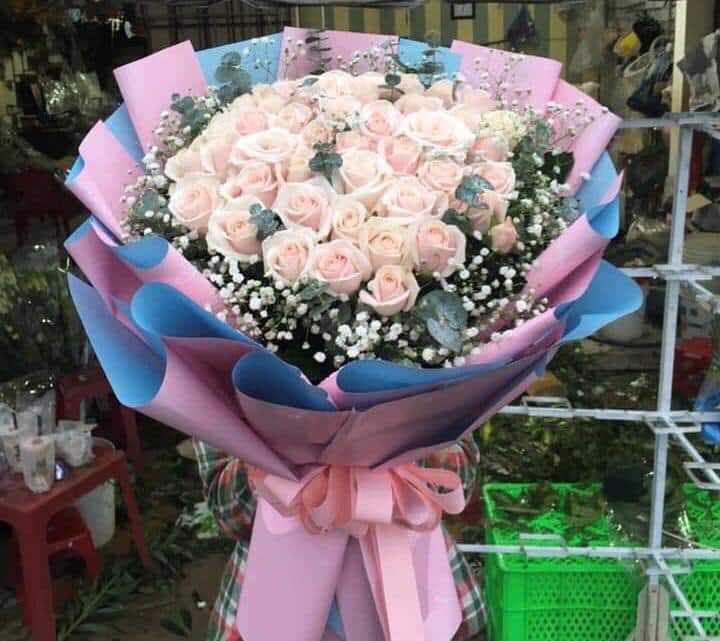 Áng Mây Hồng HT005