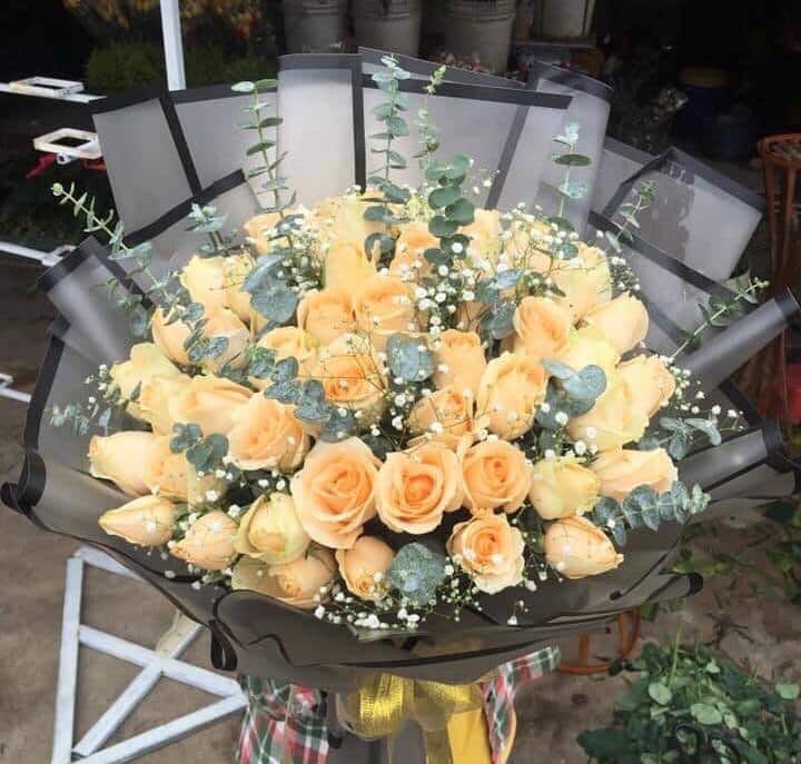 Tình Yêu Màu Nắng