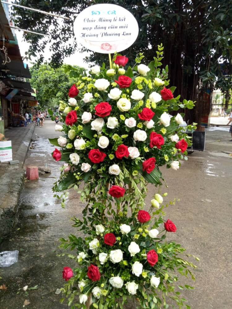 Lãng Hoa Tươi LHT005