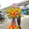 Lãng Hoa Tươi LHT006